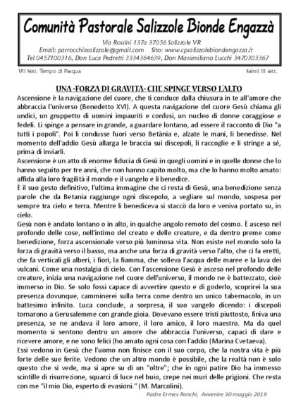 thumbnail of AVVISI 2019 6 1